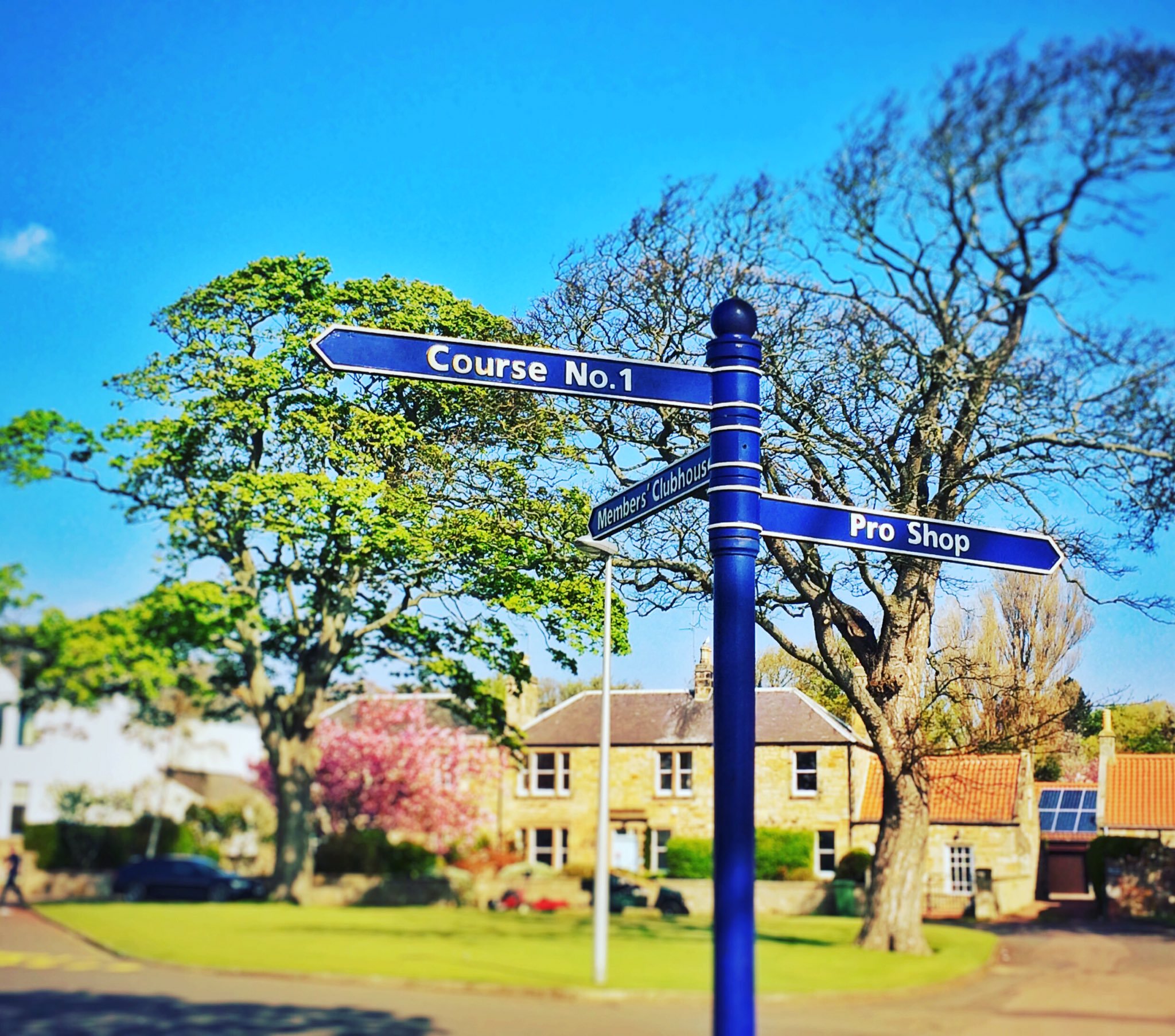 Gullane Golf Club A Profile Bonnie Wee Golf